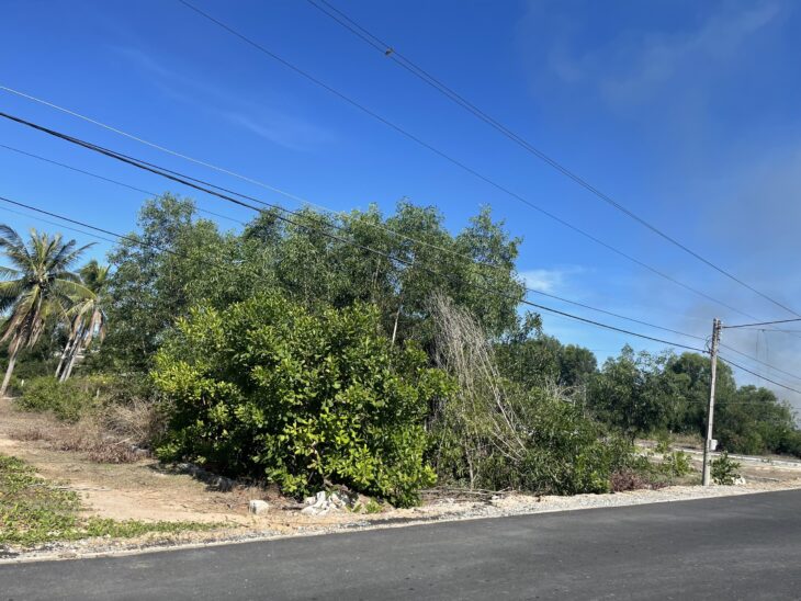 Đất ngộp! 1225m2 mặt tiền Ngô Tất Tố, thị xã LaGi chỉ 4tr/m2 gần Biển Cam Bình