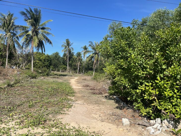 Đất ngộp! 1225m2 mặt tiền Ngô Tất Tố, thị xã LaGi chỉ 4tr/m2 gần Biển Cam Bình