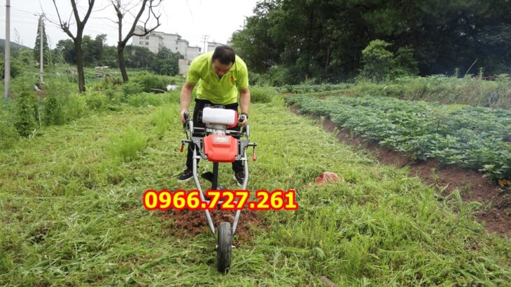 Máy khoan đất khoan lỗ trồng cây có khung xe đẩy Mitsubishi TB43 tại An Giang