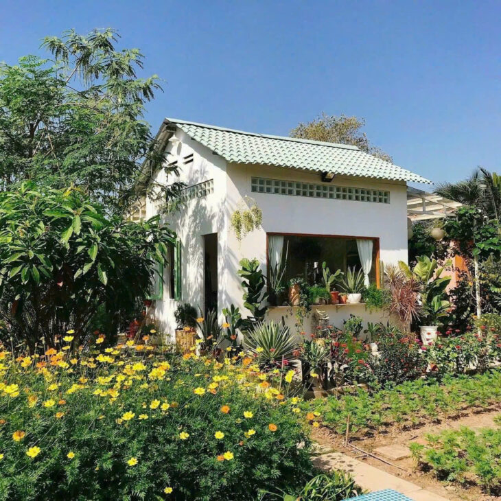 BÁN VƯỜNG CÂY ĂN TRÁI ( HƠN 5000M2 ) 5 SÀO 1,3 TỈ