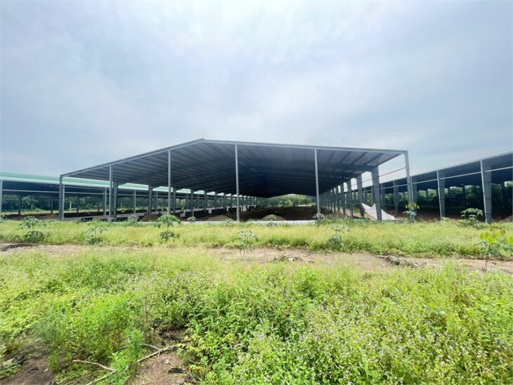 chuyển nhượng toàn bộ dự án nhà xưởng, thiết kế khung thép kiên cố, đầy đủ giấy phép