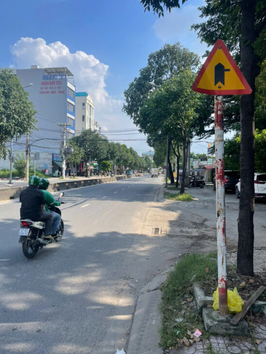 Bán đất mặt tiền 25x44m giá 81 tỷ Đường Lê Thị Riêng
