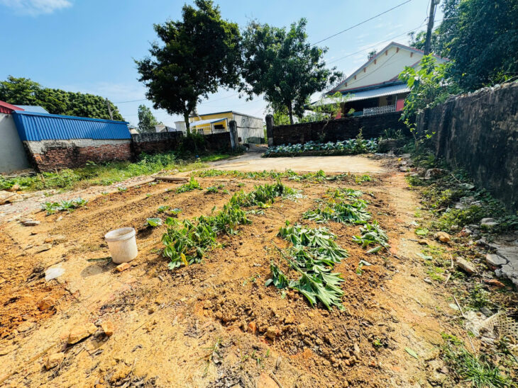 Chị họ cần tiền bán lỗ đất đẹp 1152m tại Tân Thành, Thái Nguyên