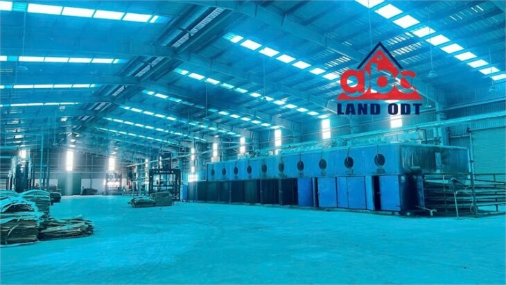 XT066 10.000m2 nhà xưởng cho thuê bàn giao đi vô sản xuất liền, tiếp nhận đa dạng ngành nghề