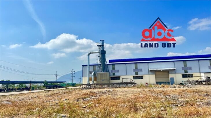 XT066 10.000m2 nhà xưởng cho thuê bàn giao đi vô sản xuất liền, tiếp nhận đa dạng ngành nghề