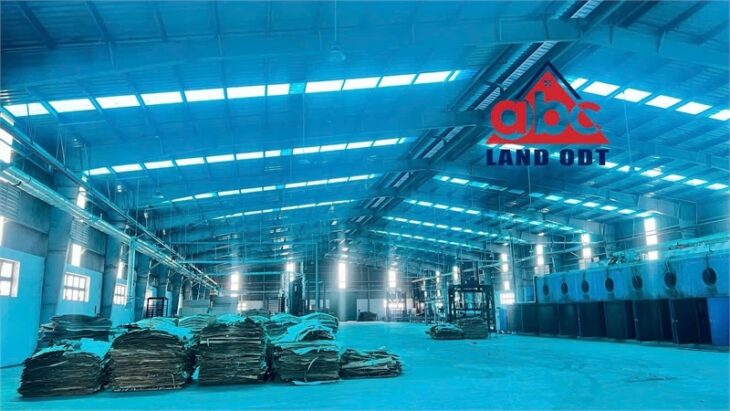 XT066 10.000m2 nhà xưởng cho thuê bàn giao đi vô sản xuất liền, tiếp nhận đa dạng ngành nghề