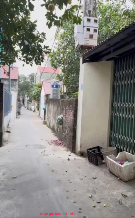 Bán 120m đất tổ 8, Chi Đông, Mê Linh. Tặng nhà C4, thửa đất vuông, mặt tiền rộng, oto đỗ cửa
