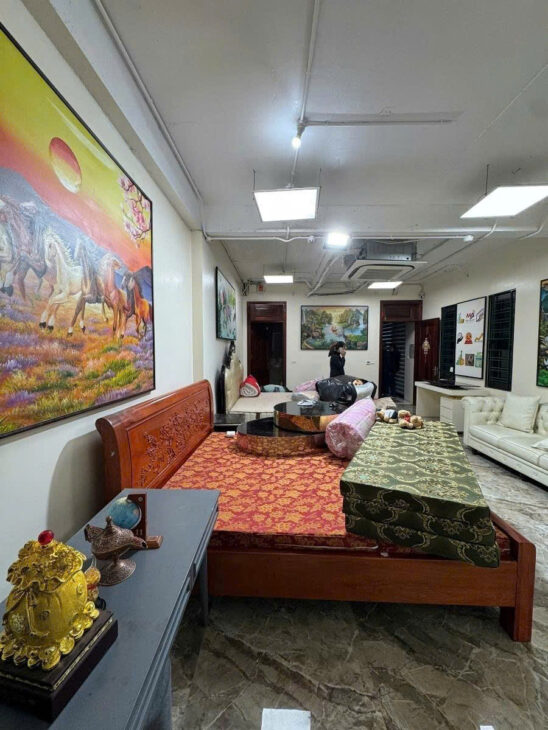 PHÂN LÔ, LÔ GÓC NHÀ VƯỜN- VĨNH HƯNG- HOÀNG MAI, 120 M2, MT 9,2 M, GIÁ 25 TỶ.