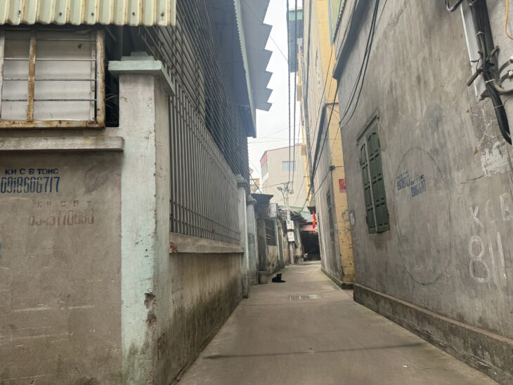 Nhanh Tay Không Mất – ???? Lô Góc Siêu Đẹp Hương Mạc – 61m², 2 Mặt Tiền, Sát Hồ Điều Hòa