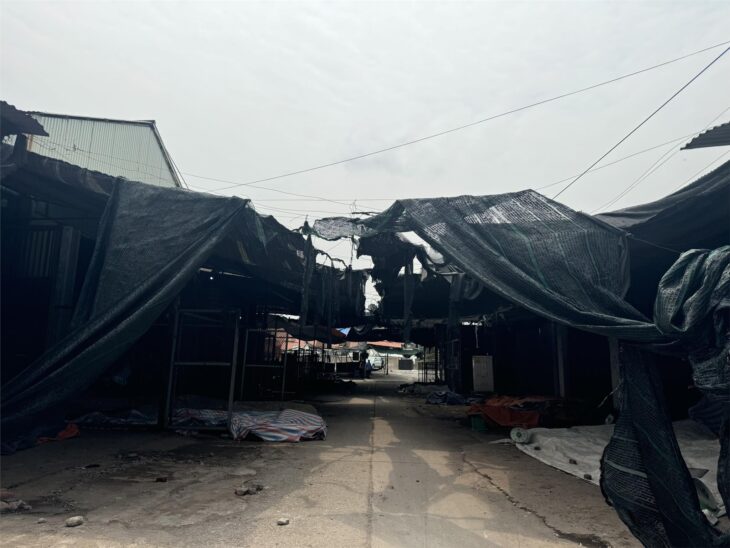 Bán Lô Gỗ Trắc, Vỉa Hè 2 Bên Đường Đang Làm, Trải Nhựa, Rất Thích Hợp Đầu Tư Sinh Lời