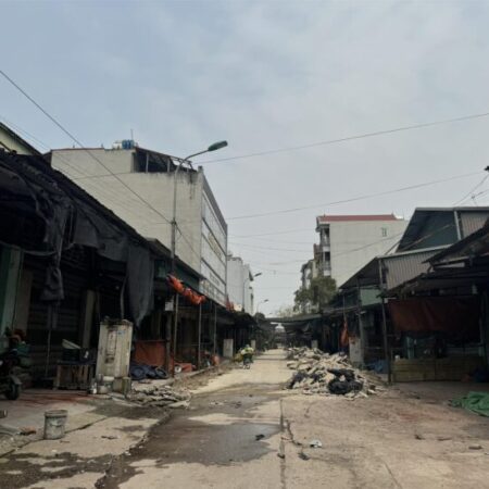 Bán Lô Gỗ Trắc, Vỉa Hè 2 Bên Đường Đang Làm, Trải Nhựa, Rất Thích Hợp Đầu Tư Sinh Lời