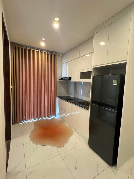 CHO THUÊ CĂN HỘ CHUNG CƯ EVERGREEN TRÀNG DUỆ , HẢI PHÒNG