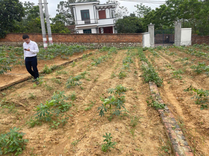 Hàng NGỘP cần bán GẤP, giá rẻ như tặng không, cắt lỗ gấp lô đất đẹp gần KCN QV2, Bắc Ninh – Giá chỉ