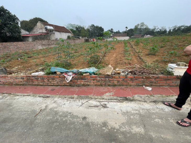 Hàng NGỘP cần bán GẤP, giá rẻ như tặng không, cắt lỗ gấp lô đất đẹp gần KCN QV2, Bắc Ninh – Giá chỉ