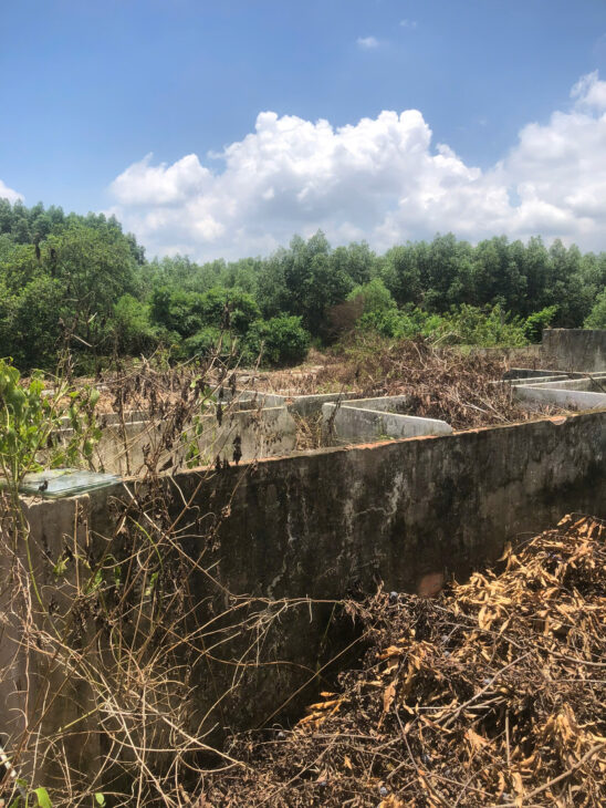 Cần Bán 9898m2 Đất Chính Chủ Tại Ấp 3, xã Phước Bình, Huyện Long Thành, Đồng Nai, Giá Chỉ 20 tỷ.