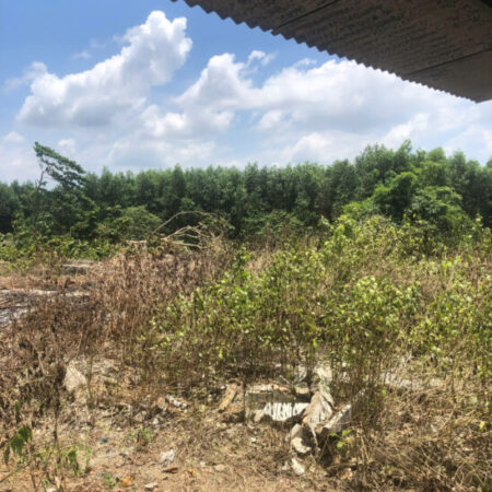 Cần Bán 9898m2 Đất Chính Chủ Tại Ấp 3, xã Phước Bình, Huyện Long Thành, Đồng Nai, Giá Chỉ 20 tỷ.
