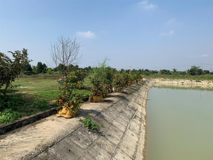 Chính chủ Bán trang trại nghỉ dưỡng 34856.8 M2 400M MẶT TIỀN Cách thị Quán Lào Yên Định 1,5km- Giá