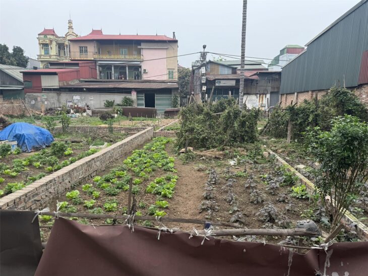 CẦN TIỀN BÁN GẤP LÔ ĐẤT 43,9M² – KHU PHỐ KIM THIỀU – GIÁ CHỈ 1,1 TỶ