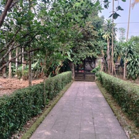 🍁 BÁN ĐẤT BIỆT THỰ 1250m2 GÓC 2 MẶT TIỀN – LƯƠNG QUÁN – THÂN VĂN NHIẾP – THỦY BIỀU, TP HUẾ