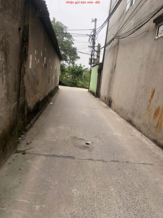 Bán đất tổ 8, TT Quang Minh, Mê Linh. Đất nằm sát siêu thị Mê Minh Plaza, và đường Võ Văn Kiệt