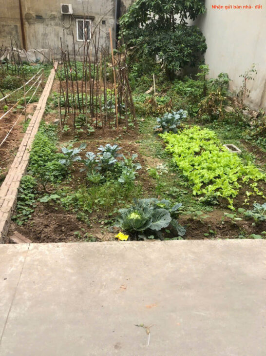 Bán đất tổ 8, TT Quang Minh, Mê Linh. Đất nằm sát siêu thị Mê Minh Plaza, và đường Võ Văn Kiệt