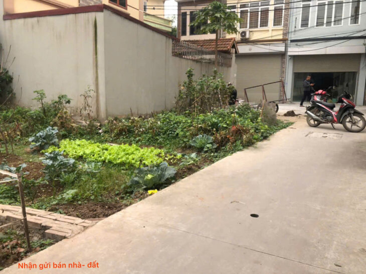 Bán đất tổ 8, TT Quang Minh, Mê Linh. Đất nằm sát siêu thị Mê Minh Plaza, và đường Võ Văn Kiệt