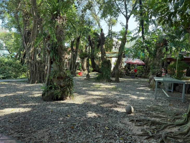 Quán Cafe View Vườn Cổ Thụ 1100m2, MT Đường Nguyễn Chí Thanh,Trung Tâm Dương Đông