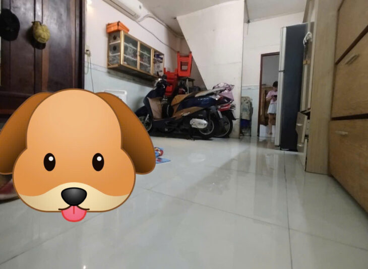 GẤP BÁN CHIA TÀI SẢN – CHÍNH CHỦ 1 ĐỜI CHƯA QUA ĐẤT TƯ CHỈ 6 TỶ CÁCH MẶT TIỀN TẠ QUANG BỬU 15M HẺM