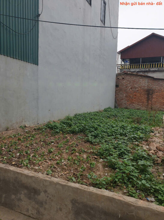 Bán đất thôn Phù Trì, Kim Hoa, Mê Linh. Gần đường vành đai 4. Full thổ cư, ô tô đỗ cửa.