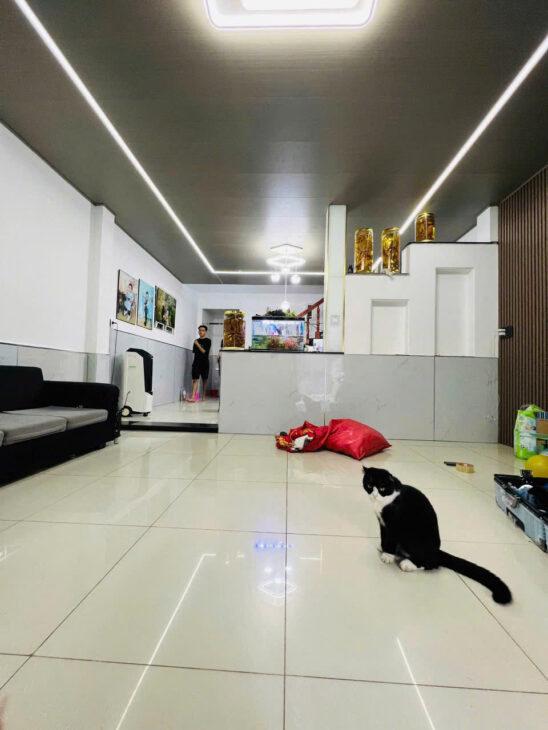 Sát LÊ VĂN KHƯƠNG-kế trường học TRẦN QUỐC TOẢN-gần siêu thị lớn nhất QUẬN 12-DT gần 70m2-4PN