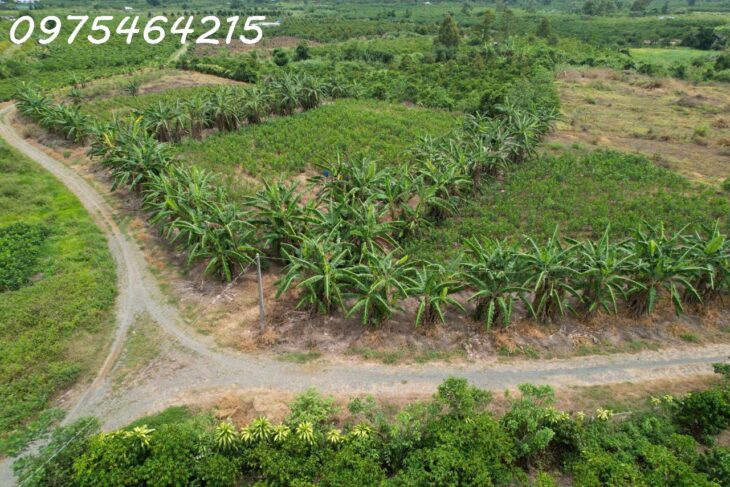 BÁN ĐẤT VIEW SÔNG – HẺM ĐƯỜNG ĐINH CÔNG TRÁNG, TP BẢO LỘC ???? Xã Lộc Châu, TP Bảo Lộc, Tỉnh Lâm Đồng