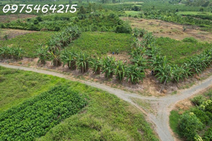 BÁN ĐẤT VIEW SÔNG – HẺM ĐƯỜNG ĐINH CÔNG TRÁNG, TP BẢO LỘC ???? Xã Lộc Châu, TP Bảo Lộc, Tỉnh Lâm Đồng