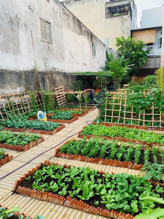BÁN ĐẤT TẶNG VƯỜN RAU SẠCH NGAY VÀNH ĐAI 2 – LINH ĐÔNG – THÀNH PHỐ THỦ ĐỨC