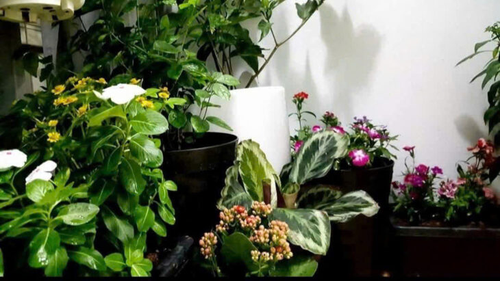 Bán căn hộ chung cư Rice City Linh Đàm, quận Hoàng Mai, 68m2, 2 ngủ, sổ đỏ cc, giá 4.x tỷ