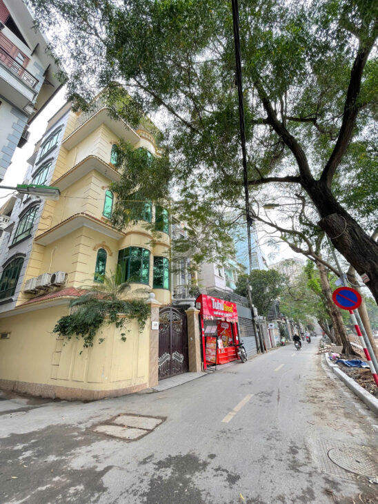 Bán nhà Mặt Phố Mai Anh Tuấn (Mặt Hồ Hoàng Cầu) 257/283m x 4Tầng, MT 8m 150 Tỷ