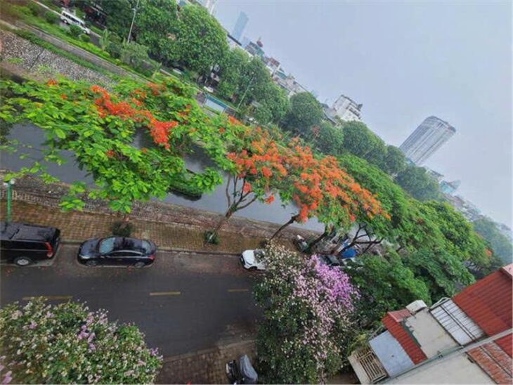 Bán nhà Quan Hoa, Cầu Giấy ,42 m2, 5 tầng, 4m mặt tiền, Giá đất từ 13.9 tỷ.