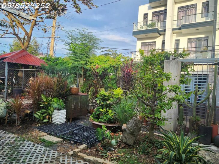 Bán căn nhà vườn cấp 4 tại Q2, bình trưng đông, 240m2