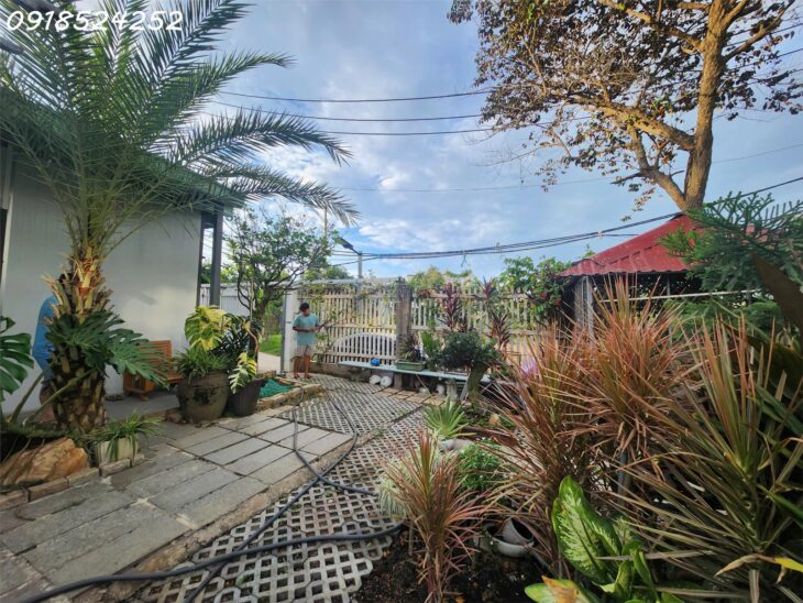 Bán căn nhà vườn cấp 4 tại Q2, bình trưng đông, 240m2