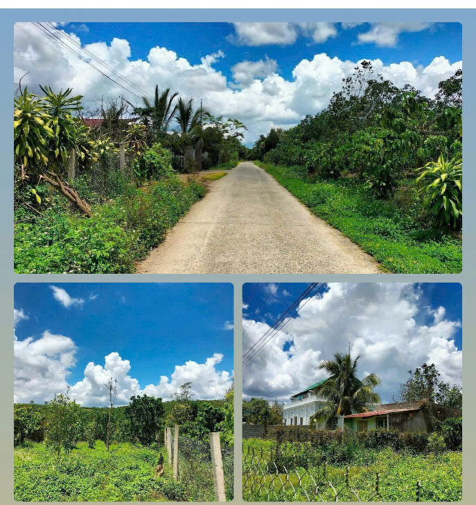 BÁN LÔ ĐẤT NGỘP TẠI DI LINH – BÁN NHANH 1 TỈ