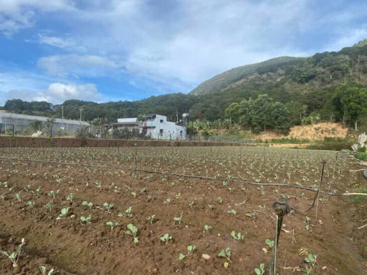 BÁN 6000M2 ĐẤT XÃ HIỆP AN – ĐỨC TRỌNG LÂM ĐỒNG – Giá bán : 13 tỷ