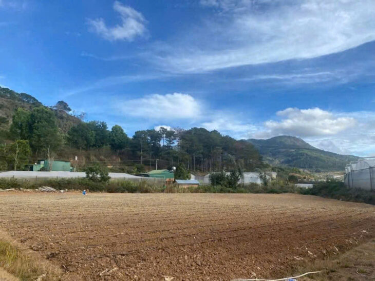 BÁN 6000M2 ĐẤT XÃ HIỆP AN – ĐỨC TRỌNG LÂM ĐỒNG – Giá bán : 13 tỷ