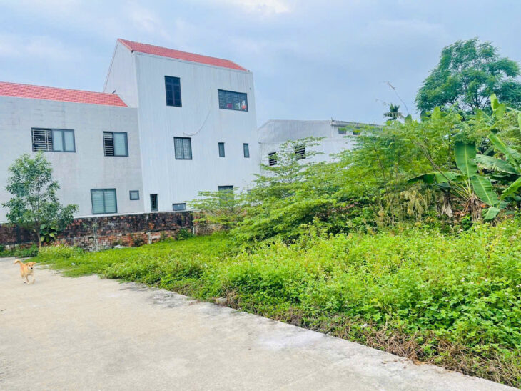 ???? Mở Bán 3 Đất Đẹp Ô tô Lâm Hoằng, P. Vỹ Dạ – Nhanh tay kẻo hết
