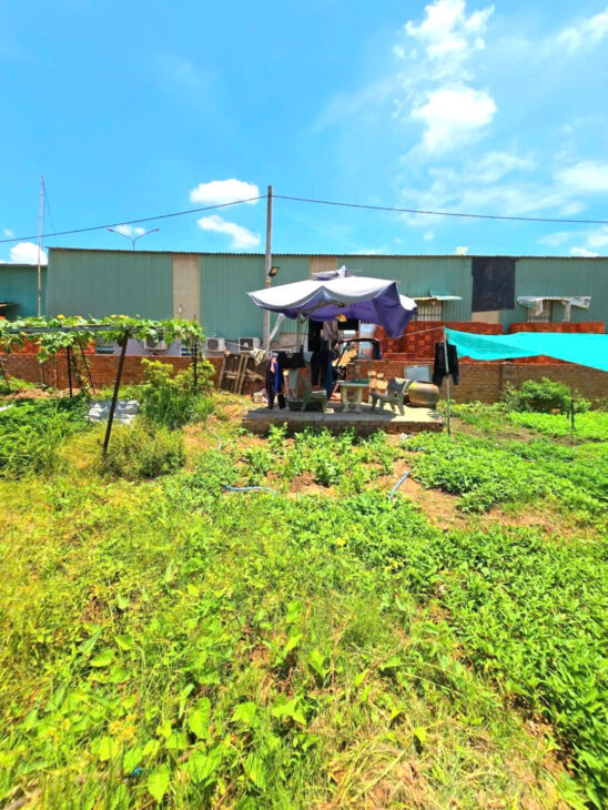 BÁN ĐẤT Phân lô, Trường Thạnh, Nguyễn Xiển Q9, DT ( 4 x 16 ) 63m2, chỉ 3.1ty