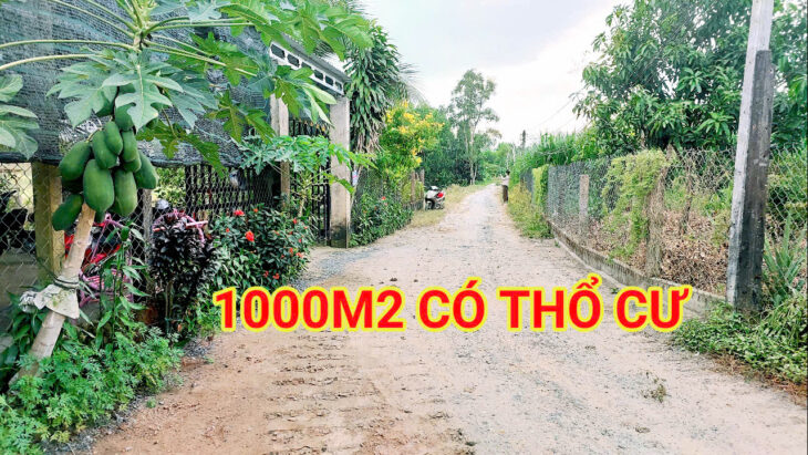 300 Triệu sang Tên 1000m2 có Thổ Cư, Gần DT 818, mỗi tháng trả dần 3 triệu