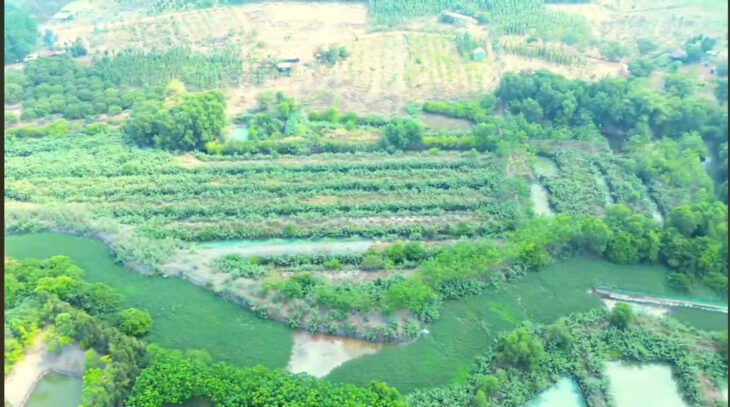 Bán 29.000m2 Đất Tại Ấp 2, Xã Thanh Hòa, Huyện Bù Đốp, Tỉnh Bình Phước.