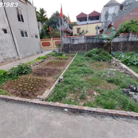 🔥 NHỈNH 3 TỶ – ĐẤT ĐẸP VÀNH ĐAI 4, ĐỨC THƯỢNG