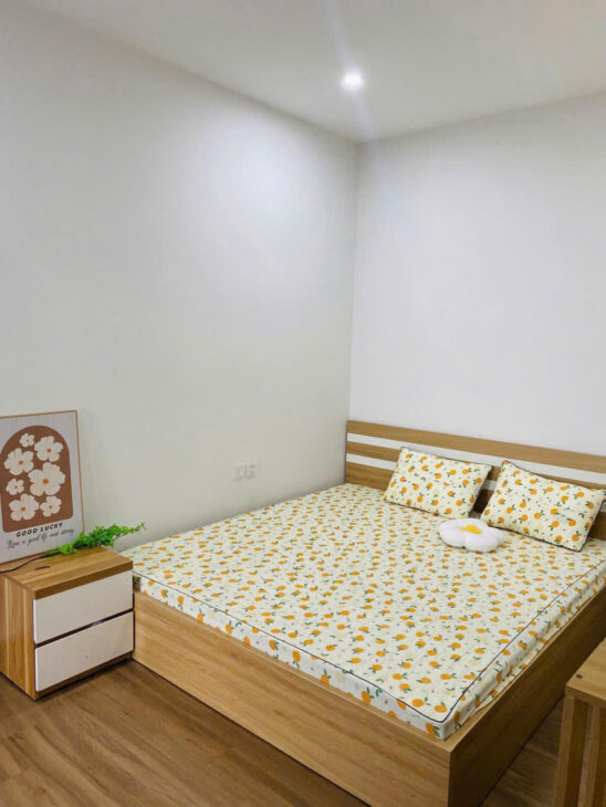 Bán căn hộ 2 ngủ Ecopark tầng 6, view sông, full nội thất cao cấp, đang cho thuê 8tr/tháng – giá