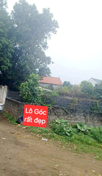 BÁN LÔ ĐẤT XÃ HOÀNG VĂN THỤ, CHƯƠNG MỸ-95.8M-GIÁ 1.15 TỶ