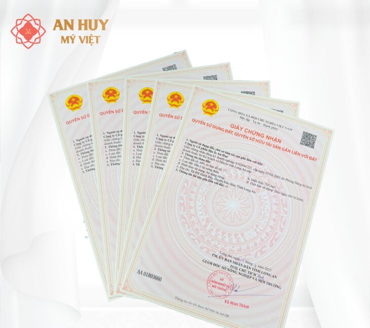 AN HUY MỸ VIỆT THIÊN NHIÊN GIAO HÒA – TINH HOA HỘI TỤ