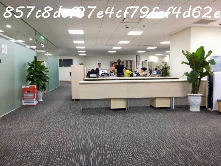 AI Bán nhà 228m² Lý Thường Kiệt, Tân Bình, 90 tỷ, sổ đỏ